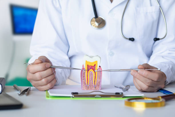 Best Emergency Orthodontic Repairs in Dry Ridge, OH